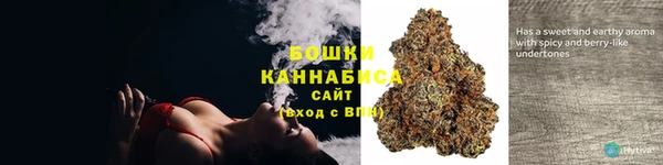 ГАЛЛЮЦИНОГЕННЫЕ ГРИБЫ Бронницы