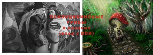 ГАЛЛЮЦИНОГЕННЫЕ ГРИБЫ Бронницы