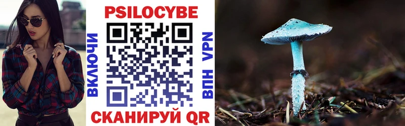 Купить  Назарово  Псилоцибиновые грибы Psilocybe 